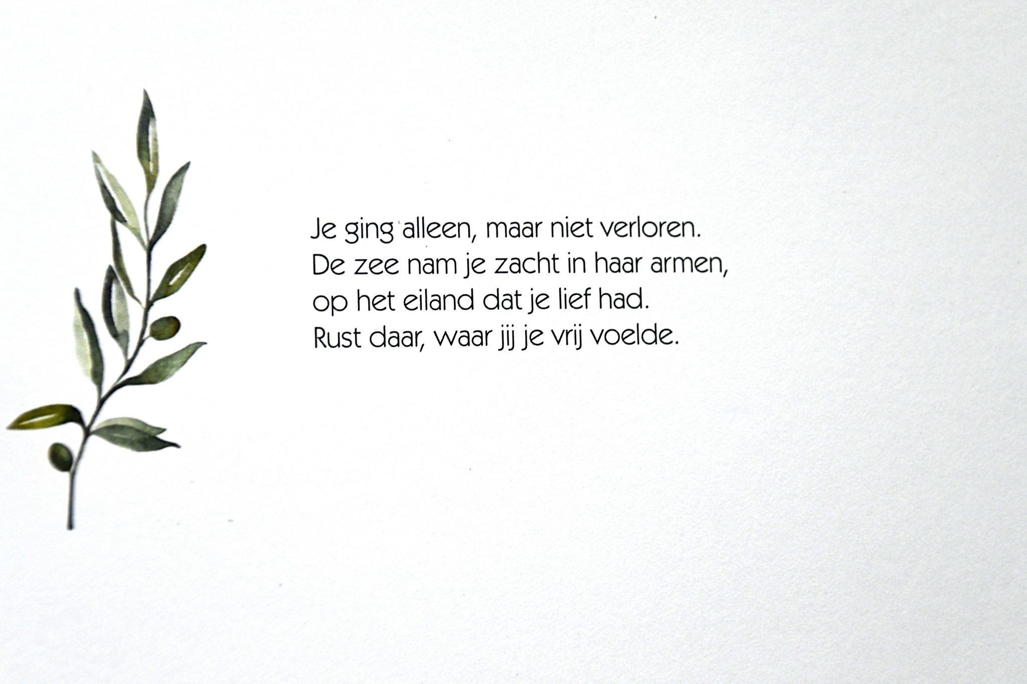 In memoriam Willem van Kranen
